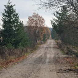 Фото с Прогулка около Виипури