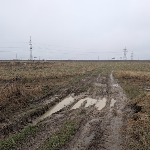 Фото с Ручеёк течёт в Саблино