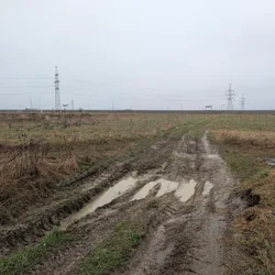 Фото с Ручеёк течёт в Саблино