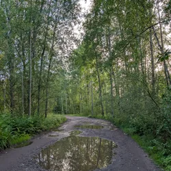Фото с Вечер: Заросший университет