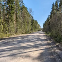 Фото с Приключения в Лесном царстве