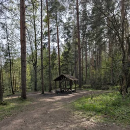 Фото с Субботний классический кружок