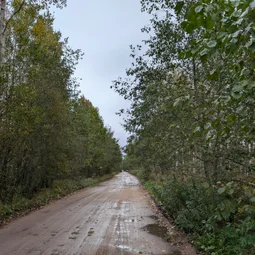 Фото с Осень на все 100