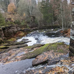Фото с Прогулка около Виипури