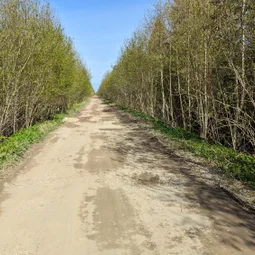 Фото с Волховский фронт