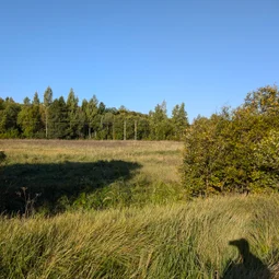 Фото с Ивангород - Сосновый бор