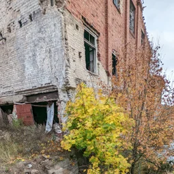 Фото с Прогулка около Виипури