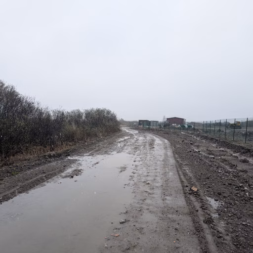 Фото с Ручеёк течёт в Саблино