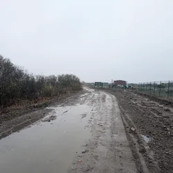 Фото с Ручеёк течёт в Саблино
