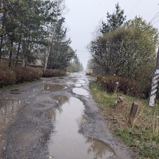 Фото с Ручеёк течёт в Саблино