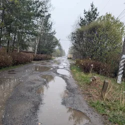 Фото с Ручеёк течёт в Саблино
