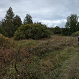 Фото с Осень на ЮЗе