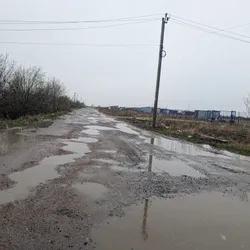 Фото с Ручеёк течёт в Саблино