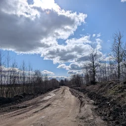 Фото с БК: Дорога в Саблино