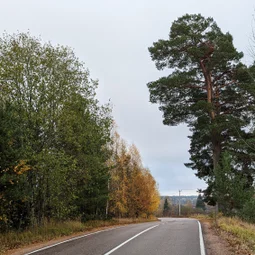 Фото с Прогулка около Виипури