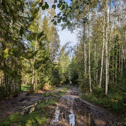 Фото с Осень на все 100