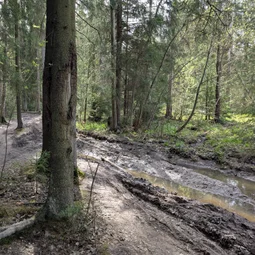 Фото с Субботний классический кружок