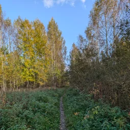Фото с Осень на все 100