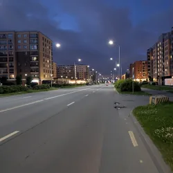 Фото с Вечер: Заросший университет