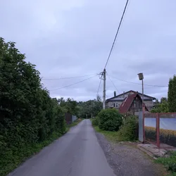 Фото с Вечер: Заросший университет