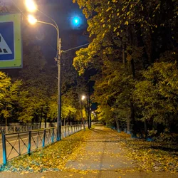Фото с Вечер: Кобра-Радистка