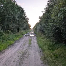 Фото с Вечер: Веревская Усадьба