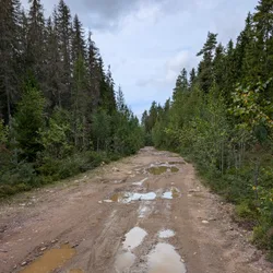 Фото с Киви Выбирает Блинчики