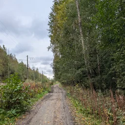 Фото с Осень на все 100