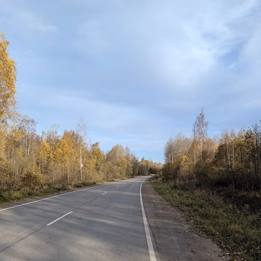Фото с БК: Ульяновская Назия