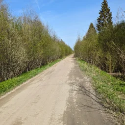 Фото с Волховский фронт