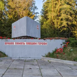 Фото с НБ: Тосненский