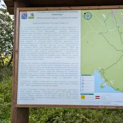 Фото с Киви Выбирает Блинчики