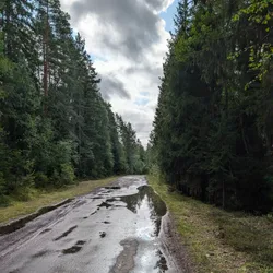 Фото с Киви Выбирает Блинчики