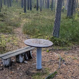 Фото с Финский гром