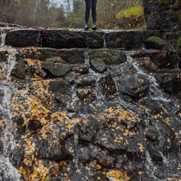 Фото с Прогулка около Виипури
