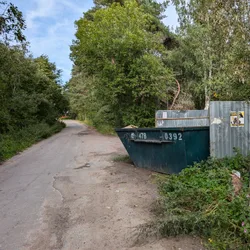 Фото с Киви Выбирает Блинчики