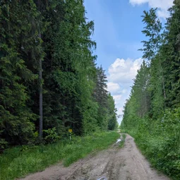 Фото с Тёмная сторона Кальтино