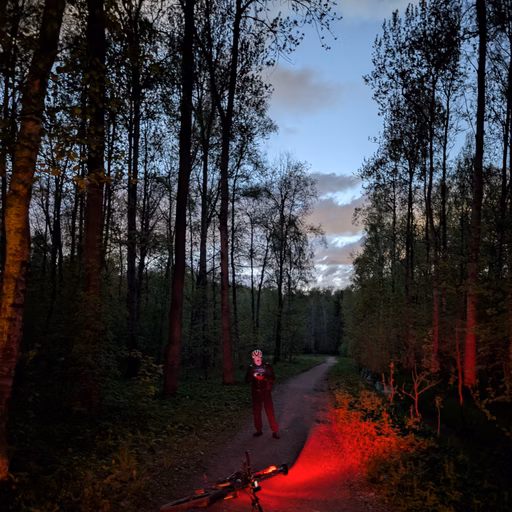 Фото с Вечер: Ванильный Петергофский
