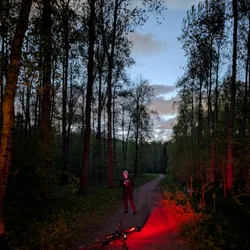 Фото с Вечер: Ванильный Петергофский