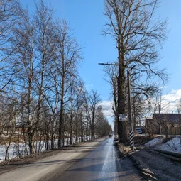 Фото с Весна не у окна