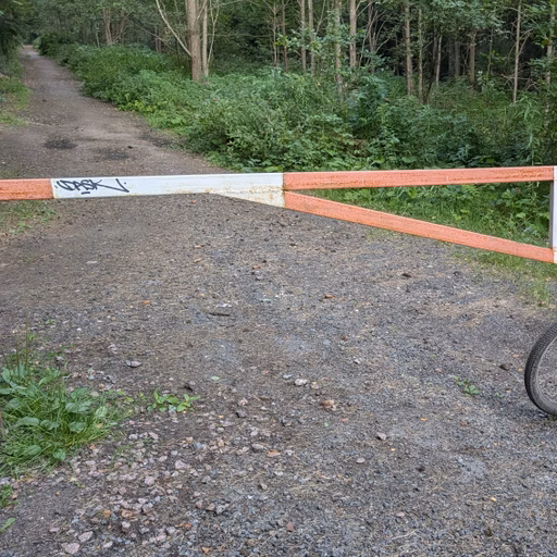 Фото с Вечер: из Зелёной Рощи