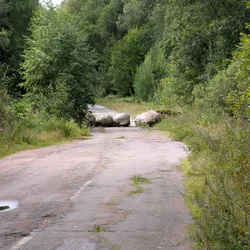 Фото с Киви Выбирает Блинчики