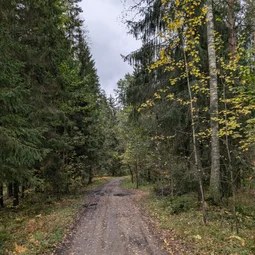 Фото с Осень на все 100