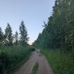 Фото с Вечер: Там за барханами будет озеро