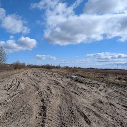 Фото с БК: Дорога в Саблино