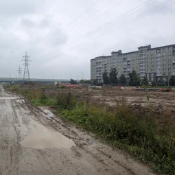 Фото с Старые тропинки Пушкинских Понтонов