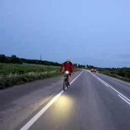 Фото с Вечер: Янинские Огуречные Электробусы
