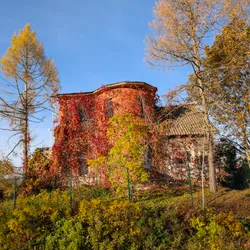 Фото с Котельская осень
