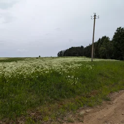 Фото с Выыыборги и то что северней