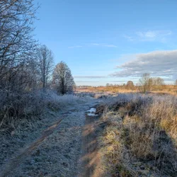Фото с Котельская осень